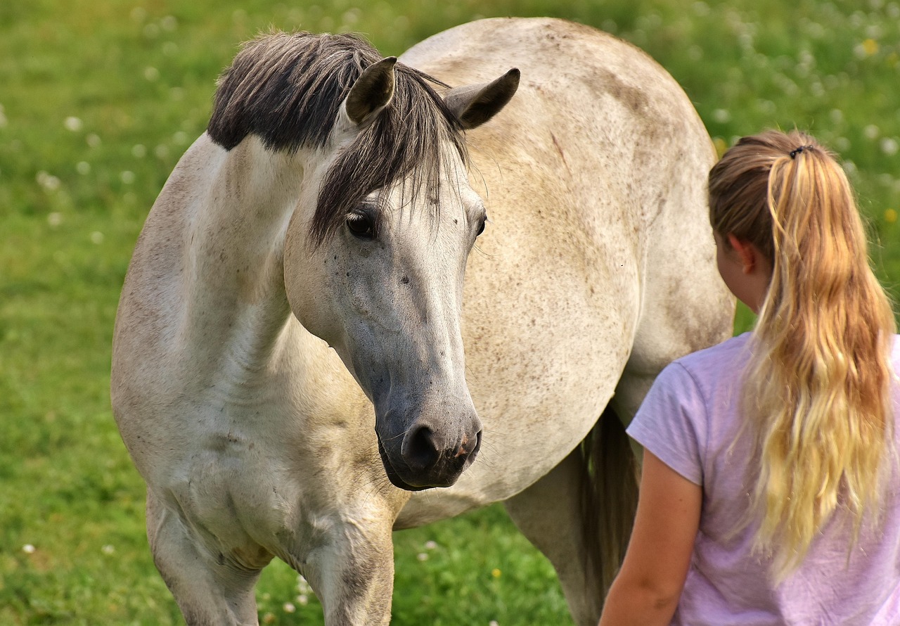 girl, love for animals, nature, horse, mould, coupling