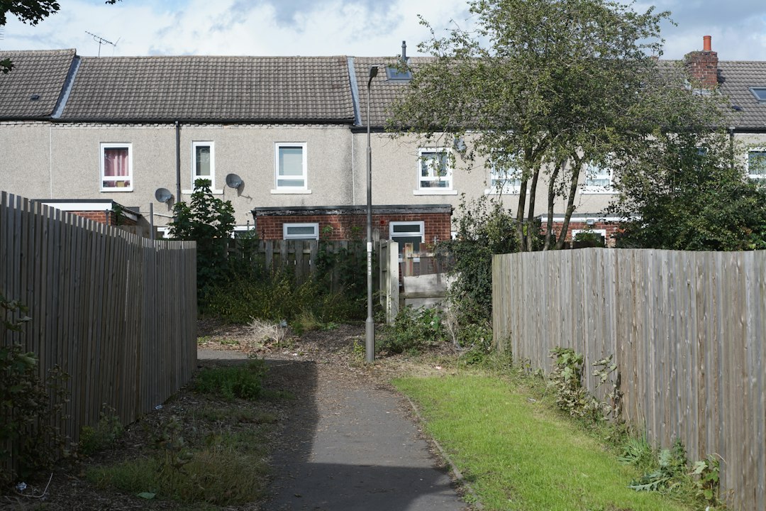 Overgrown path between wooden fences with houses behind
