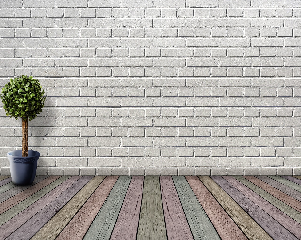 space, empty, wooden floor, plant, plant pot, boxwood, deco, houseplant, white, inner space, wooden floorboards, coloured, wall, room, stone wall, architecture, nature, living room, floor, inside, brick wall